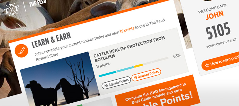 The Feed user dashboard